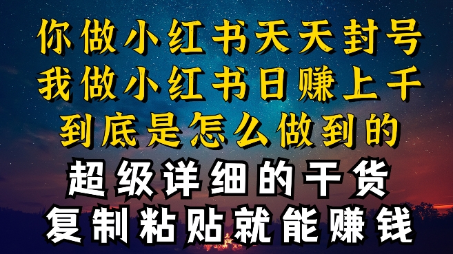 都知道小红书能引流私域变现，可为什么我能一天引流几十人变现上千，但你却频频封号违规被限流-沐羽项目网