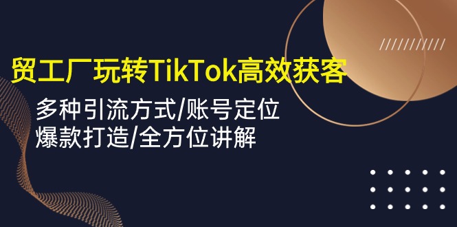 （10302期）外贸工厂玩转TikTok高效获客，多种引流方式/账号定位/爆款打造/全方位讲解-沐羽项目网