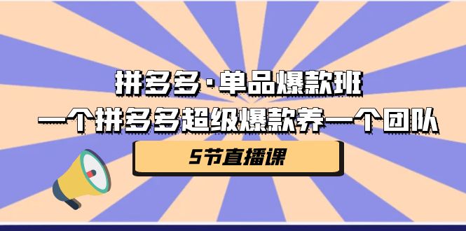 拼多多·单品爆款班，一个拼多多超级爆款养一个团队（5节直播课）-沐羽项目网
