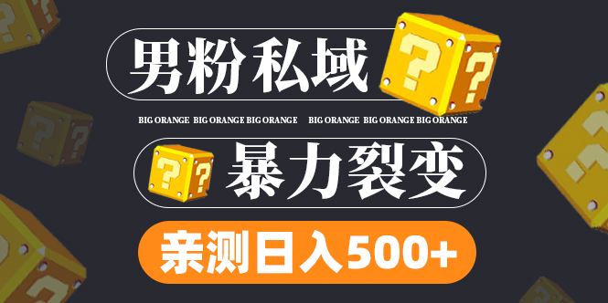 男粉项目，一个作品变现1000+，新渠道新玩法，一部手机实现月入过万-沐羽项目网