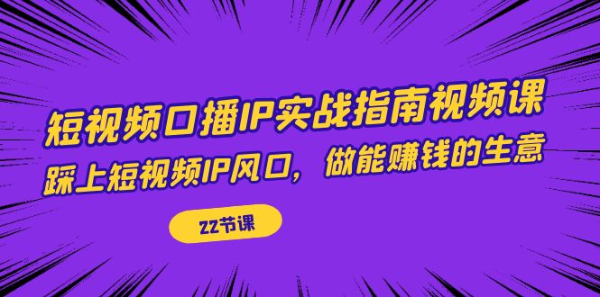 短视频口播IP实战指南视频课，踩上短视频IP风口，做能赚钱的生意（22节课）-沐羽项目网