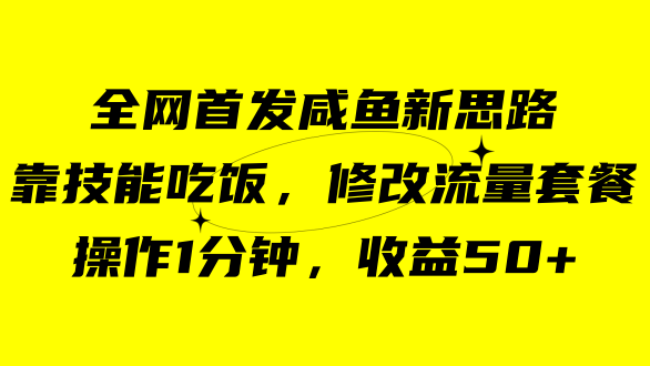 咸鱼冷门新玩法，靠“技能吃饭”，修改流量套餐，操作1分钟，收益50+-沐羽项目网