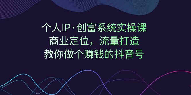 个人IP·创富系统实操课：商业定位，流量打造，教你做个赚钱的抖音号-沐羽项目网