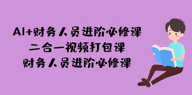 AI + 财务人员进阶必修课二合一视频打包课，财务人员进阶必修课-沐羽项目网