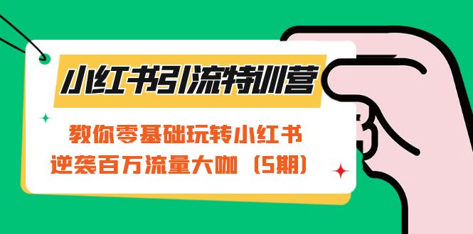 小红书引流特训营-第5期：教你零基础玩转小红书，逆袭百万流量大咖-沐羽项目网
