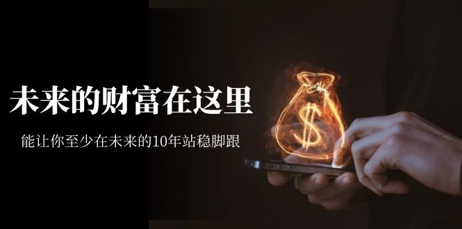 某收费文章《未来的财富在这里》能让你至少在未来的10年站稳脚跟-沐羽项目网