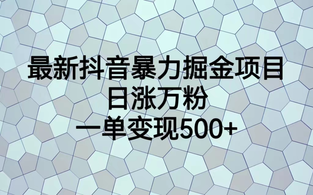 最火热的抖音暴力掘金项目，日涨万粉，多种变现方式，一单变现可达500+-沐羽项目网