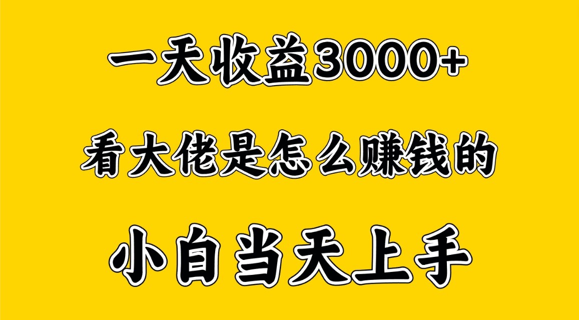 一天赚3000多，大佬是这样赚到钱的，小白当天上手，穷人翻身项目-沐羽项目网