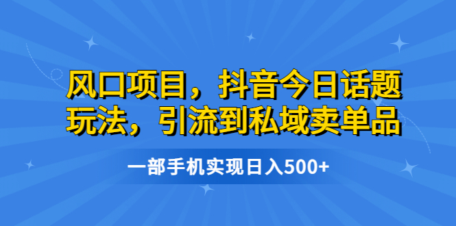 风口项目，抖音今日话题玩法，引流到私域卖单品，一部手机实现日入500+-沐羽项目网