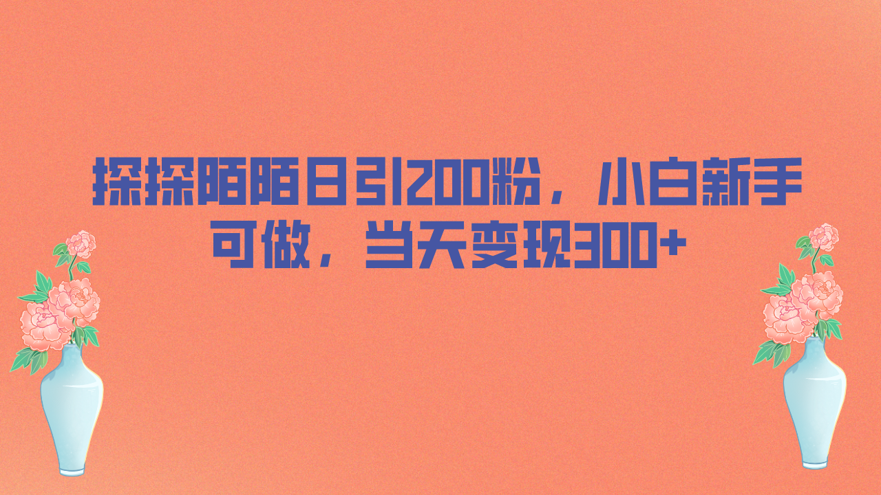 探探陌陌日引200粉，小白新手可做，当天就能变现300+-沐羽项目网