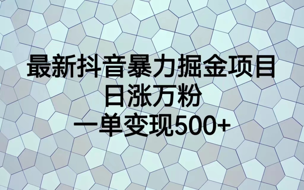 最新抖音暴力掘金项目，日涨万粉，一单变现500+-沐羽项目网