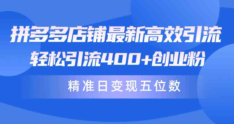 （10041期）拼多多店铺最新高效引流术，轻松引流400+创业粉，精准日变现五位数！-沐羽项目网