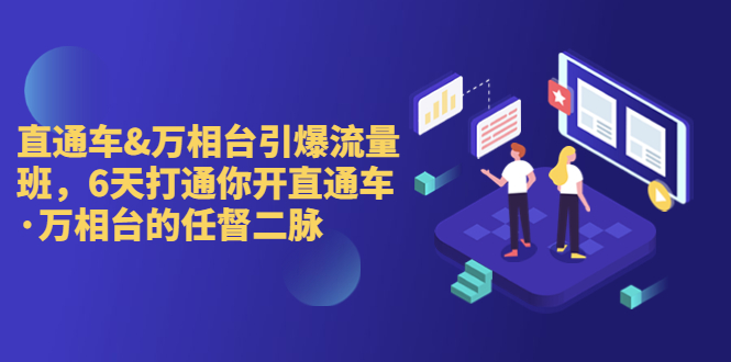 直通车+万相台引爆流量班，6天打通你开直通车·万相台的任督 二脉-沐羽项目网