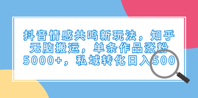抖音情感共鸣新玩法，知乎无脑搬运，单条作品涨粉5000+，私域转化日入500-沐羽项目网