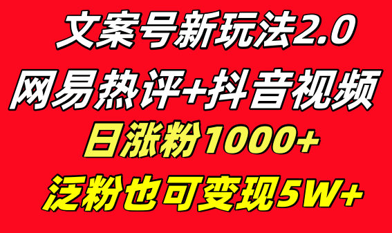 文案号新玩法 网易热评+抖音文案 一天涨粉1000+ 多种变现模式 泛粉也可变现-沐羽项目网