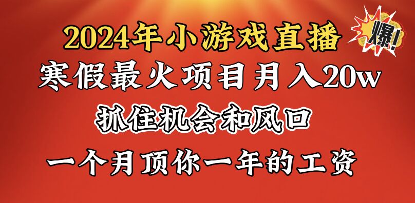 2024年寒假爆火项目，小游戏直播月入20w+，学会了之后你将翻身-沐羽项目网