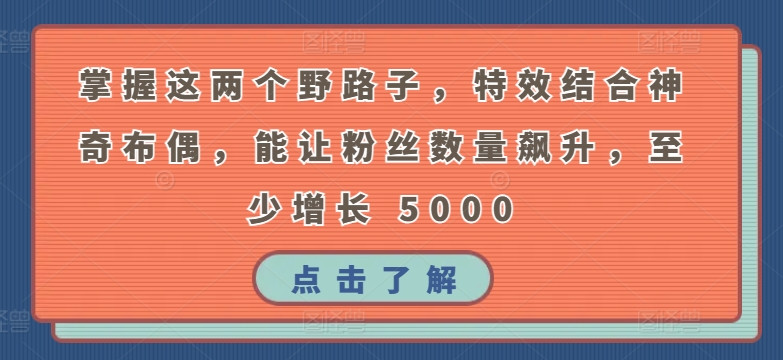 掌握这两个野路子，特效结合神奇布偶，能让粉丝数量飙升，至少增长 5000-沐羽项目网