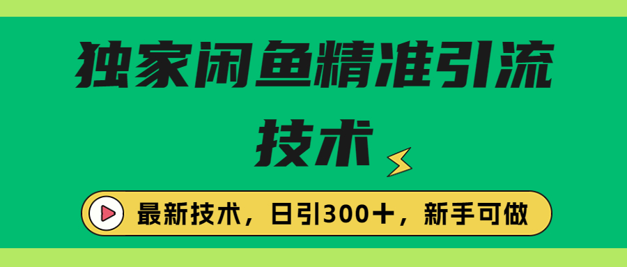 独家闲鱼引流技术，日引300＋实战玩法-沐羽项目网