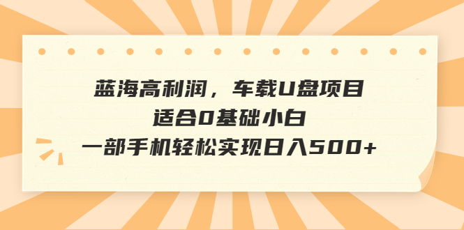 蓝海高利润，车载U盘项目，适合0基础小白，一部手机轻松实现日入500+-沐羽项目网