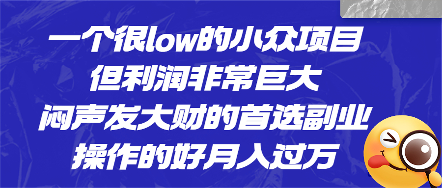 一个很low的小众项目，但利润非常巨大，闷声发大财的首选副业，月入过万-沐羽项目网