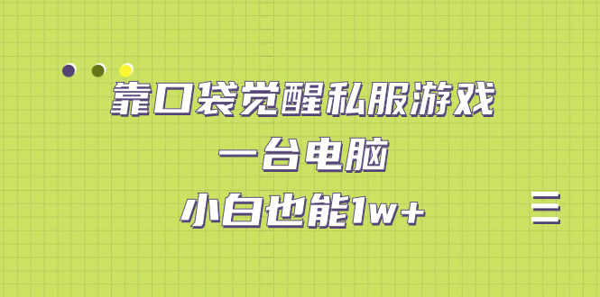 靠口袋觉醒私服游戏，一台电脑，小白也能1w+（教程+工具+资料）-沐羽项目网