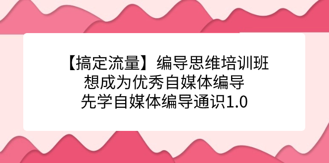 【搞定流量】编导思维培训班，想成为优秀自媒体编导先学自媒体编导通识1.0-沐羽项目网