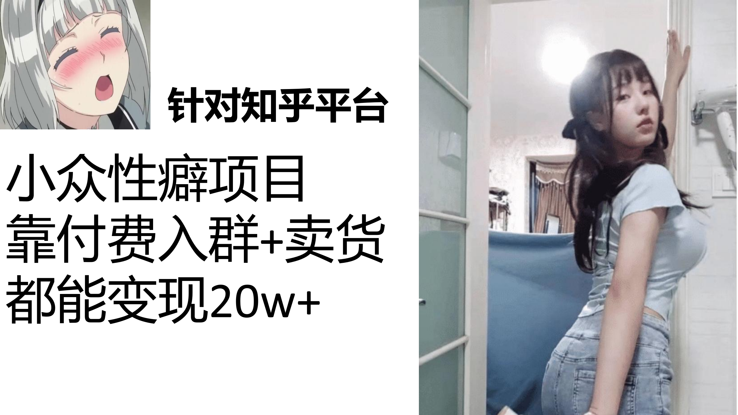 知乎小众性癖项目，Lsp的钱才是最好赚的，付费建群+卖货变现20w-沐羽项目网