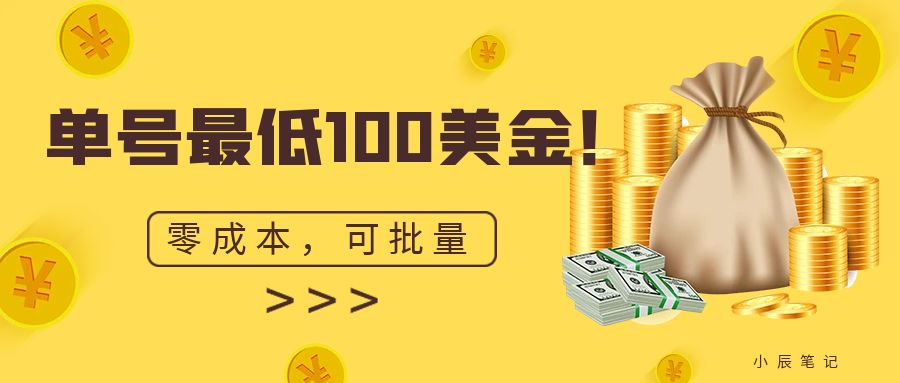 单号最低100美金，零成本，小白无脑操作。可复制，可扩大。-沐羽项目网