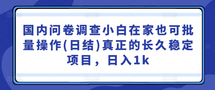 国内问卷调查小白在家也可批量操作(日结)真正的长久稳定项目，日入1k【揭秘】-沐羽项目网