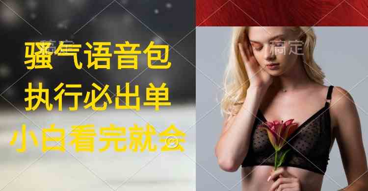 （9589期）执行就出单，日入2000+，超火骚气语音包，小白看完课程就能马上实操-沐羽项目网