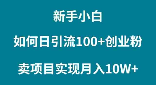 （9556期）新手小白如何通过卖项目实现月入10W+-沐羽项目网