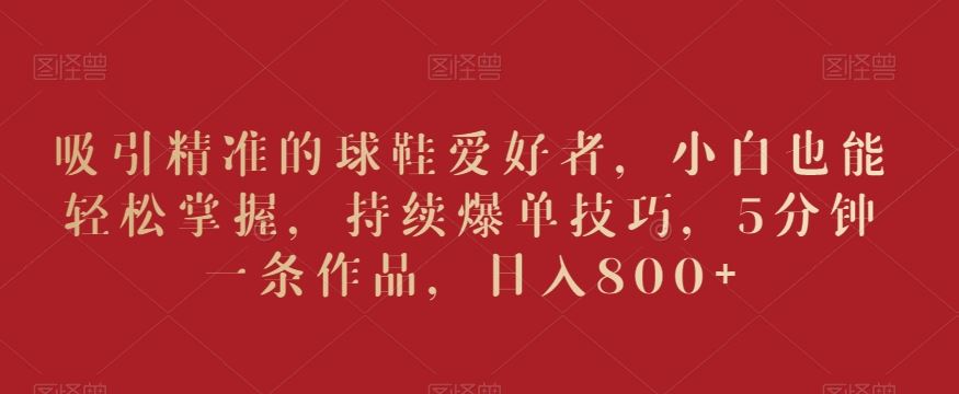 吸引精准的球鞋爱好者，小白也能轻松掌握，持续爆单技巧，5分钟一条作品，日入800+【揭秘】-沐羽项目网
