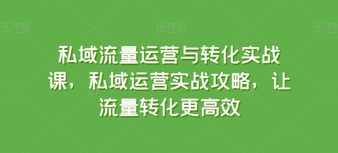 私域流量运营与转化实战课，私域运营实战攻略，让流量转化更高效-沐羽项目网