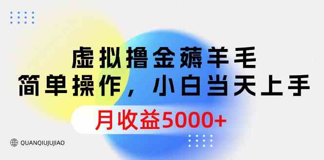 （9864期）虚拟撸金薅羊毛，简单操作，小白当天上手，月收益5000+-沐羽项目网