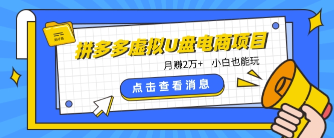 拼多多虚拟U盘电商红利项目：月赚2万+，新手小白也能玩-沐羽项目网