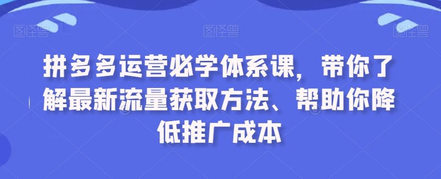 拼多多运营必学体系课，带你了解最新流量获取方法、帮助你降低推广成本-沐羽项目网