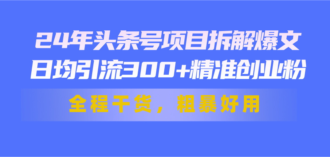24年头条号项目拆解爆文，日均引流300+精准创业粉，全程干货，粗暴好用-沐羽项目网