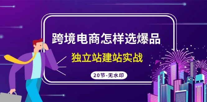跨境电商怎样选爆品，独立站建站实战（20节高清课）-沐羽项目网