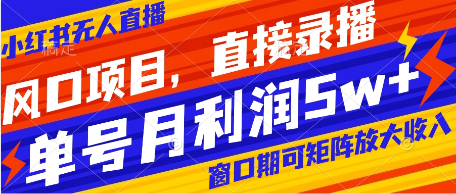 风口项目，小红书无人直播带货，直接录播，可矩阵，月入5w+-沐羽项目网