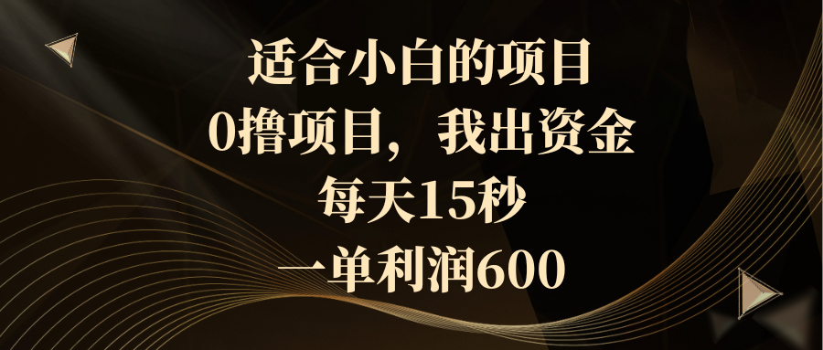 适合小白的项目，0撸项目，我出资金，每天15秒，一单利润600-沐羽项目网