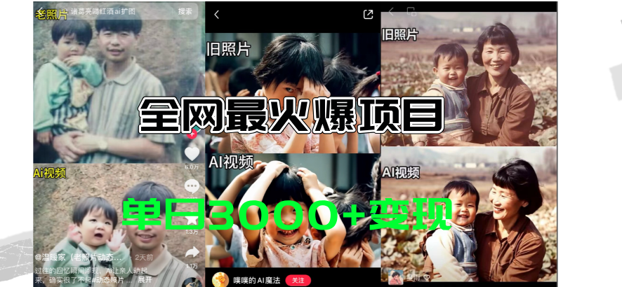 全网爆火的AI让老照片动起来教程，蹭热点日赚3000+，内含免费工具一键生成-沐羽项目网