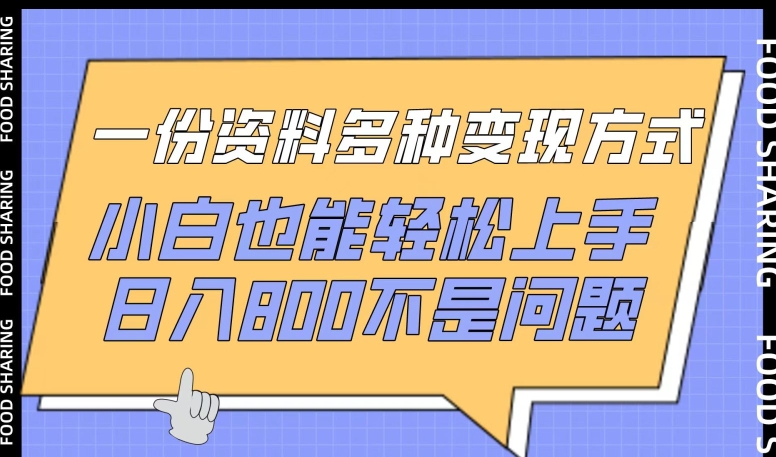 一份资料多种变现方式，小白也能轻松上手，日入800不是问题-沐羽项目网
