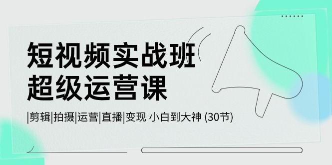 （10836期）短视频实战班-超级运营课，|剪辑|拍摄|运营|直播|变现 小白到大神 (30节)-沐羽项目网