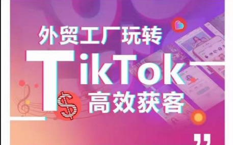 外贸工厂玩转TikTok高效获客，多种引流方式与账号定位技巧，拆解爆款短视频打造成功案例-沐羽项目网