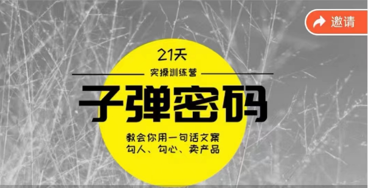 《子弹密码训练营》用一句话文案勾人勾心卖产品，21天学到顶尖文案大师策略和技巧-沐羽项目网