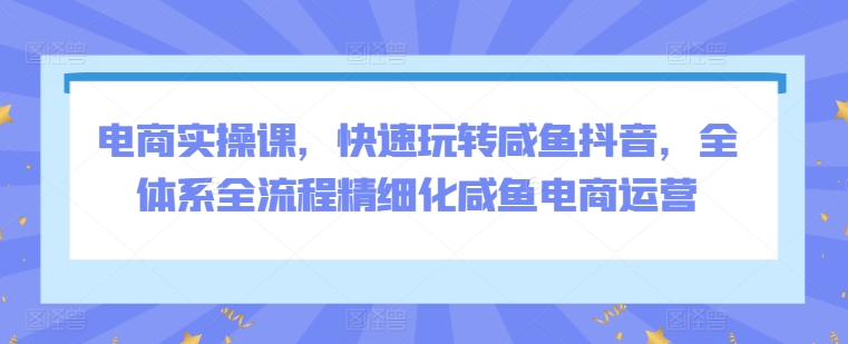 电商实操课，快速玩转咸鱼抖音，全体系全流程精细化咸鱼电商运营-沐羽项目网