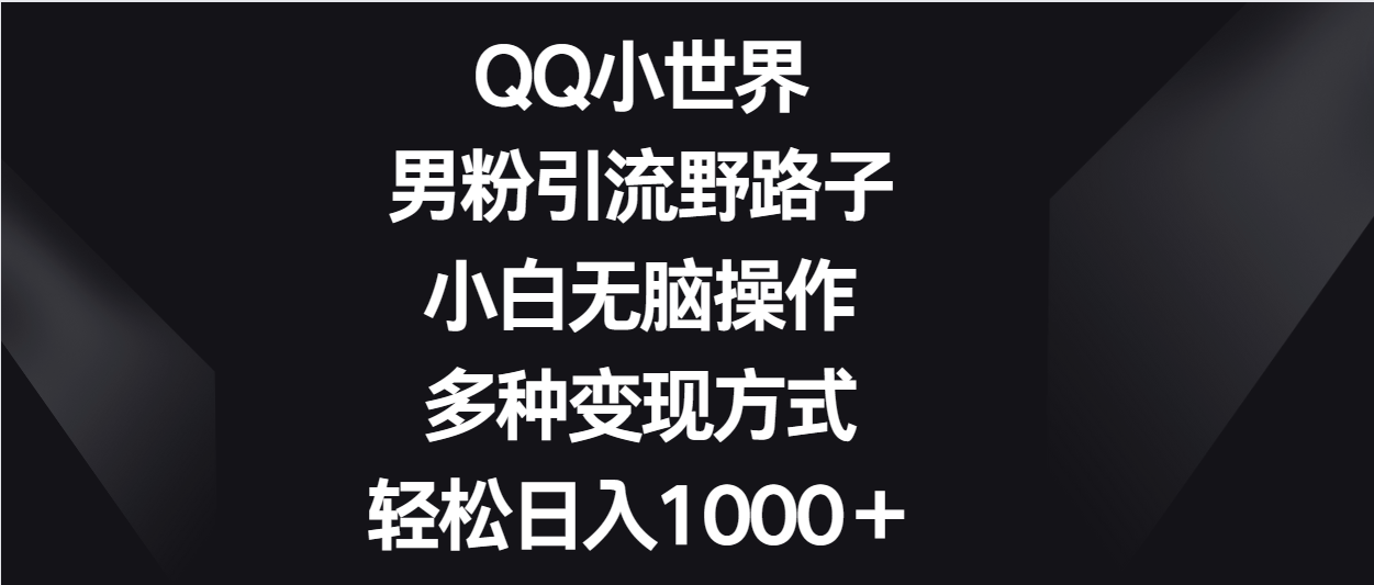QQ小世界男粉引流野路子，小白无脑操作，多种变现方式轻松日入1000＋-沐羽项目网