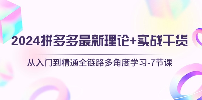 （10816期）2024拼多多 最新理论+实战干货，从入门到精通全链路多角度学习-7节课-沐羽项目网