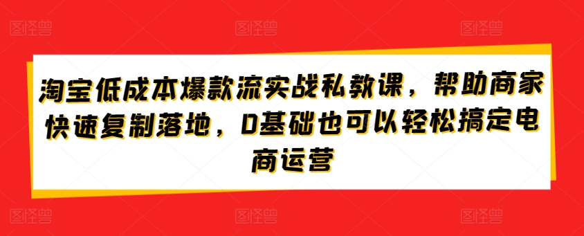 淘宝低成本爆款流实战私教课，帮助商家快速复制落地，0基础也可以轻松搞定电商运营-沐羽项目网