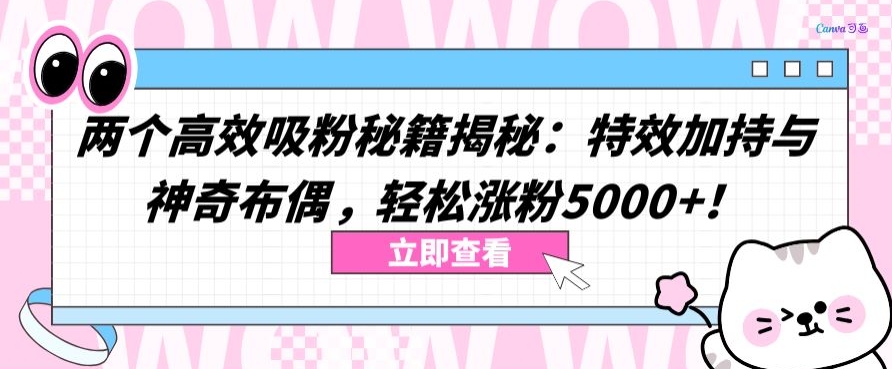 两个高效吸粉秘籍揭秘：特效加持与神奇布偶，轻松涨粉5000+-沐羽项目网
